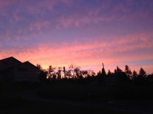IMG_2061